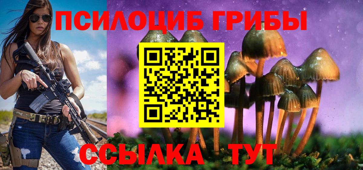 Псилоцибиновые грибы Psilocybine cubensis  Вход с VPN  Богородск  Псилоцибиновые грибы Cubensis 